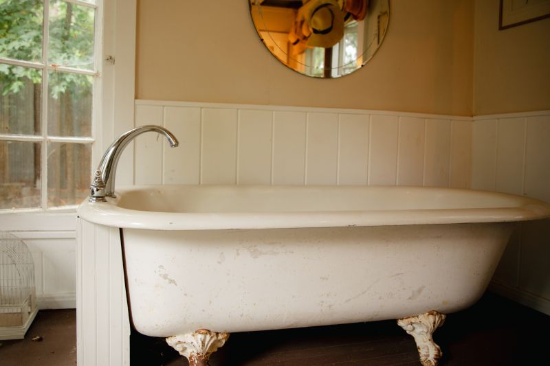 Vintage Cast Iron Bathtub